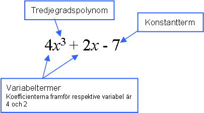 Förklaring till polynom